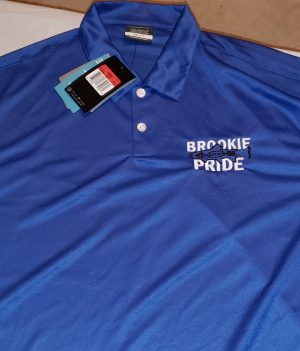 Nike Polo Shirt-Embroiedered (Blue) (NOAC) (L)