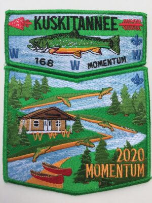 2020 Momentum Patch Set - Image 2
